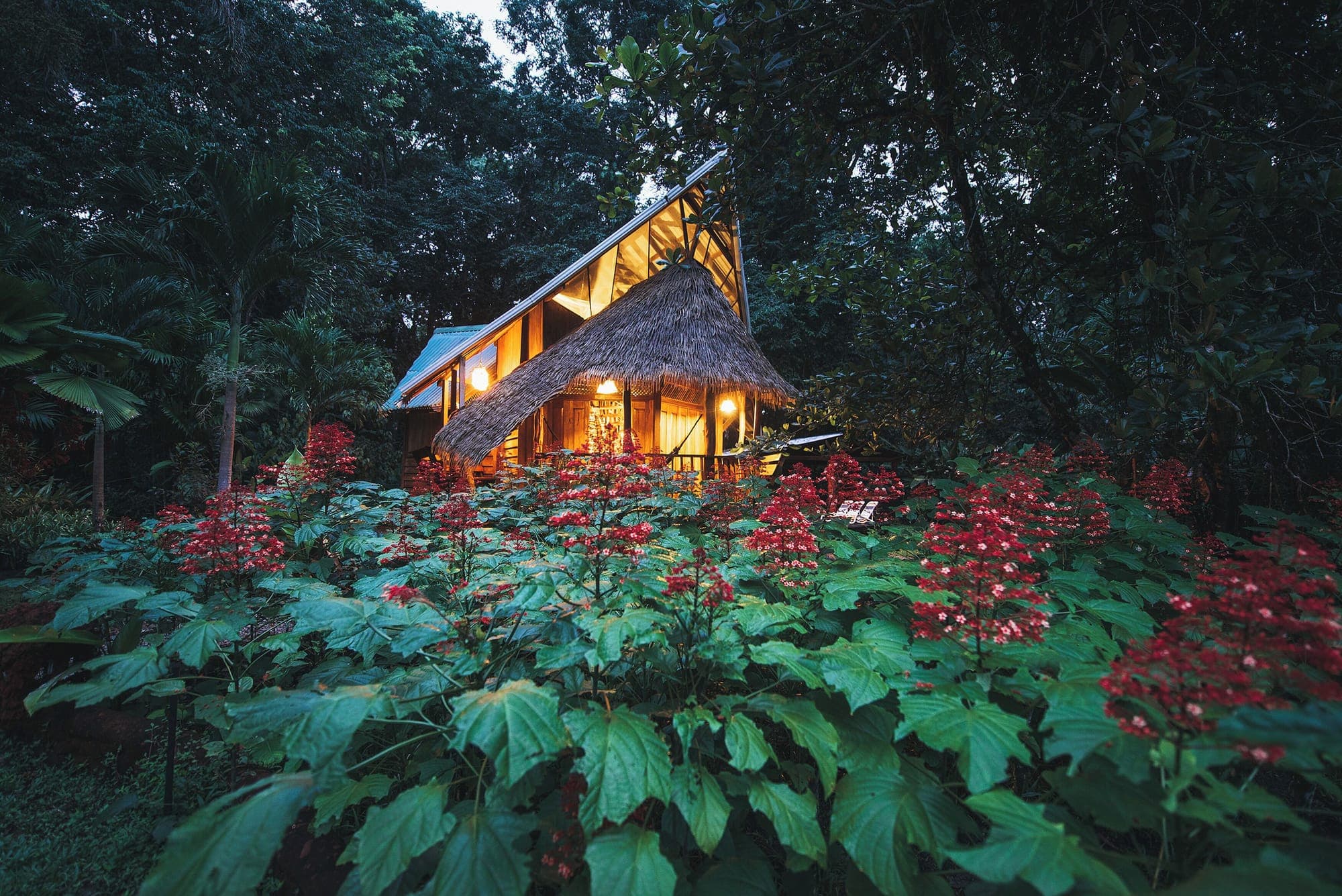 Tree House Lodge, Punta Uva, Limón